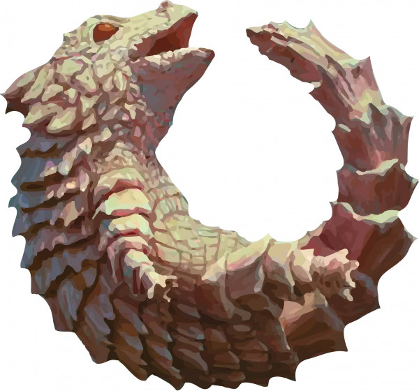 Oroboros Amberwit