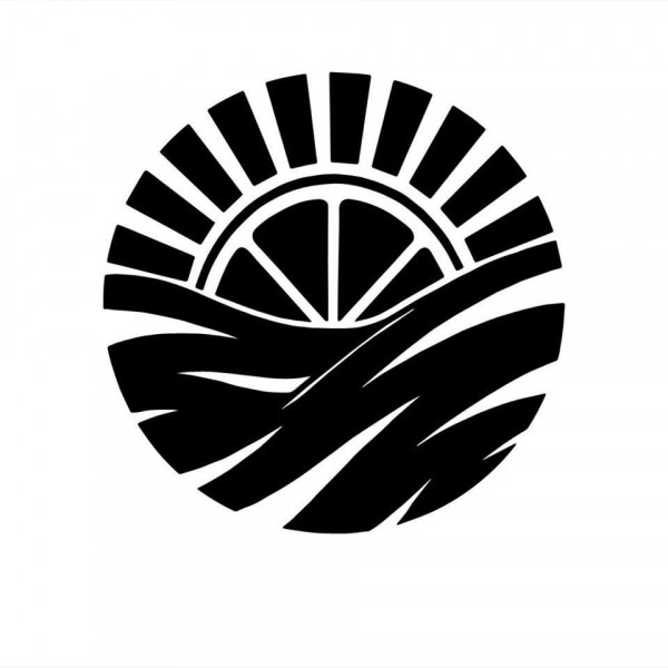 Vitamin Sea Brewing logo
