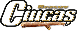 Brașov logo
