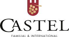 Castel Group logo