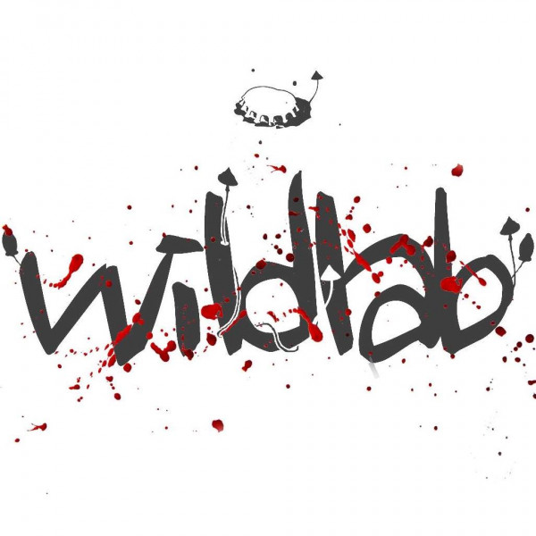 Wild Lab Shapes & Lines