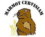 Marmot Cervisiam logo