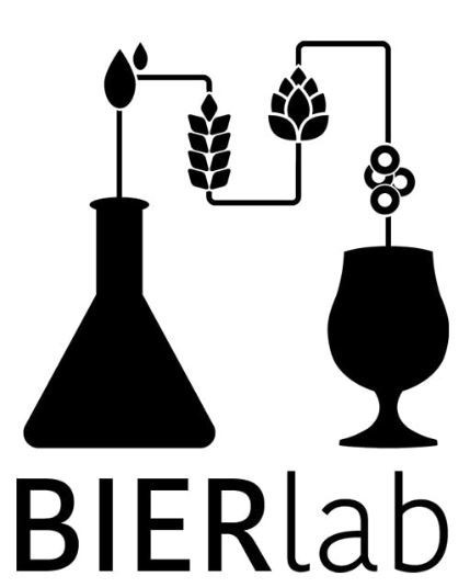 BIERlab / Bear N Stein logo