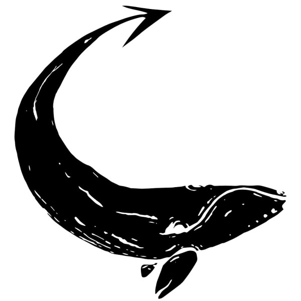 La Baleine Endiablée - Brasserie Indépendante logo
