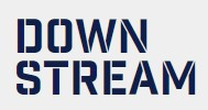Downstream (Ireland Craft Beverages) logo