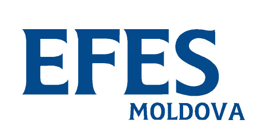 Efes Vitanta Moldova Brewery logo