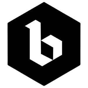 Bingo Beer Company Lager