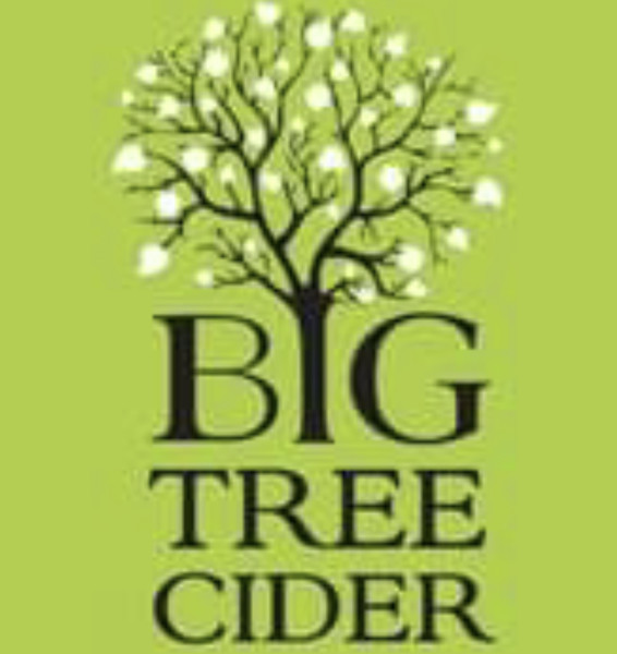 Big Tree Cider logo