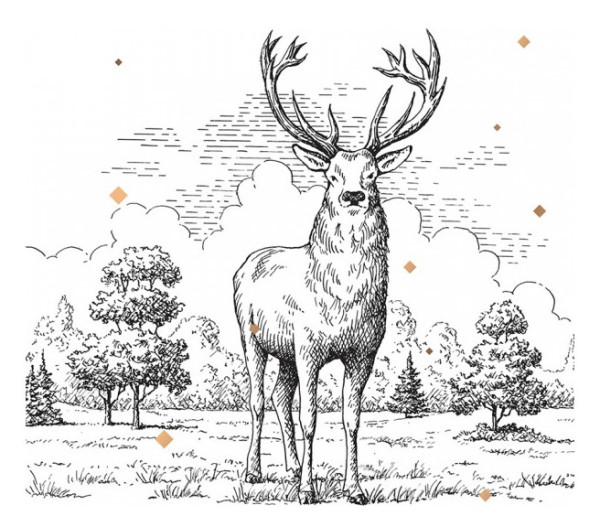 Corniche Belgium International logo