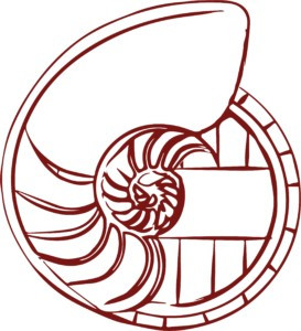 Ammonite logo