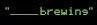 _____ (Blank) Brewing logo