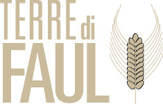 Terre di Faul Midnight Sunset Cream Ale