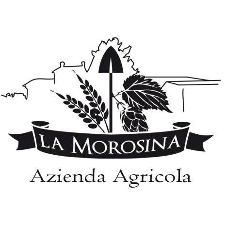 AgriBirrificio La Morosina (Ticinensis) Altromercato Red Ale