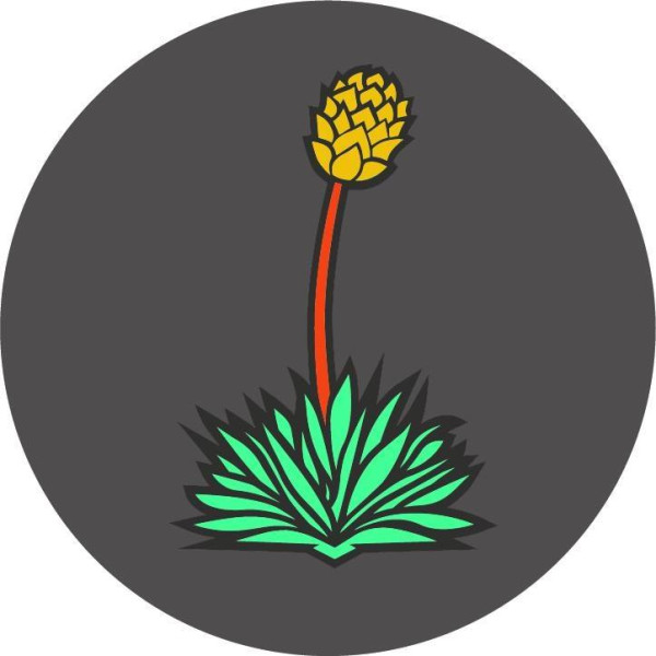 Pondaseta Brewing Company logo