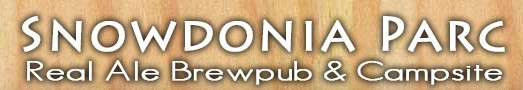 Snowdonia Parc logo
