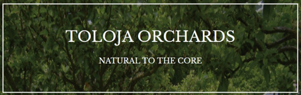 Toloja Orchards Merlin's Potion Cider