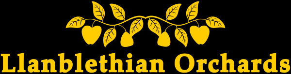 Llanblethian Orchards logo