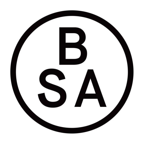 Bière Sans Alcool [BSA] logo