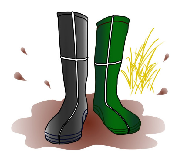 Holsworthy Ales logo