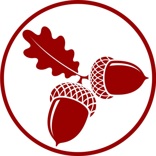 BaYo Brewery logo