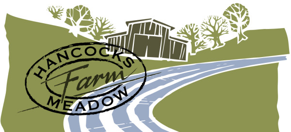 Hancocks Meadow Farm Ballingham Dabinett SV