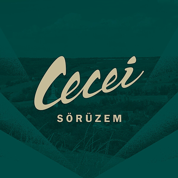 Cecei Sörüzem logo