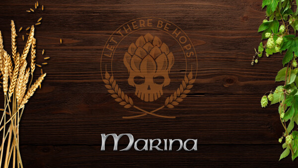 Cervesa Marina - Brewers Brothers logo