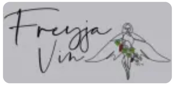 Freyja Vin Apple Cider Medium Sweet