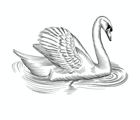 Macintosh Ales logo