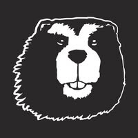 Ice Beaver logo