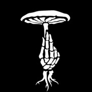 Deadfall Brewing Succession New England IPA