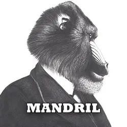 Mandril Brewing Company logo