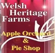 Welsh Heritage Farms Splitladder Syder