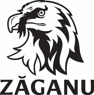 Fabrica de Bere Bună / Zăganu logo