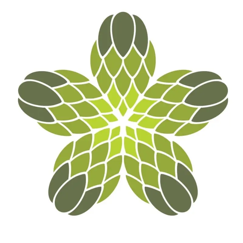 Fibonacci Brewing Company logo