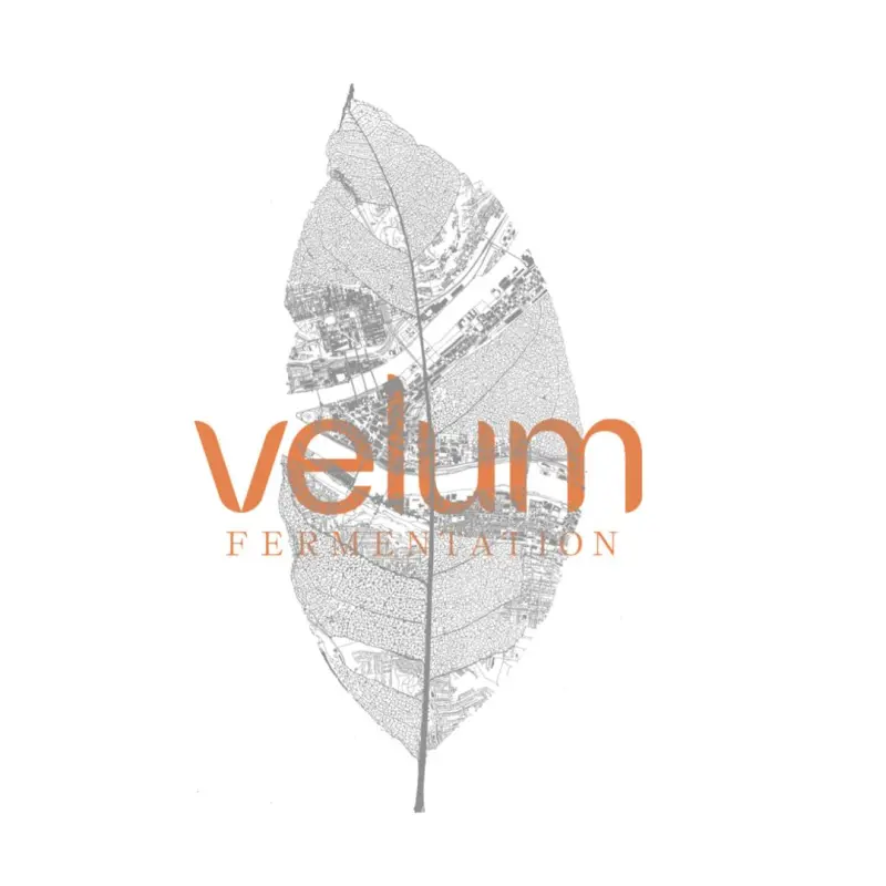 Velum Fermentation logo
