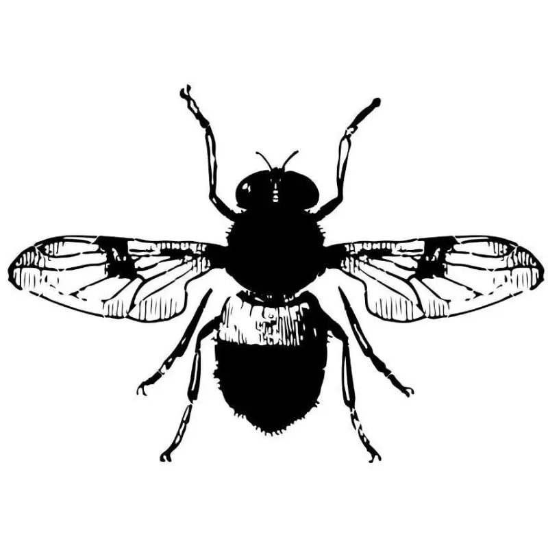 Cervecería Van Der logo