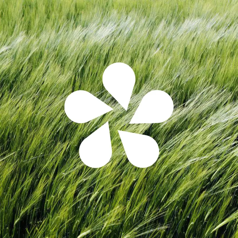 Flora Craft Beer logo