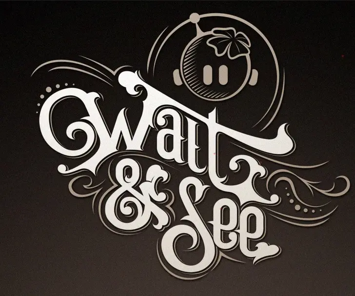 Wait & See logo