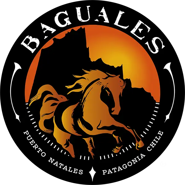 Cerveza Baguales Brown Ale