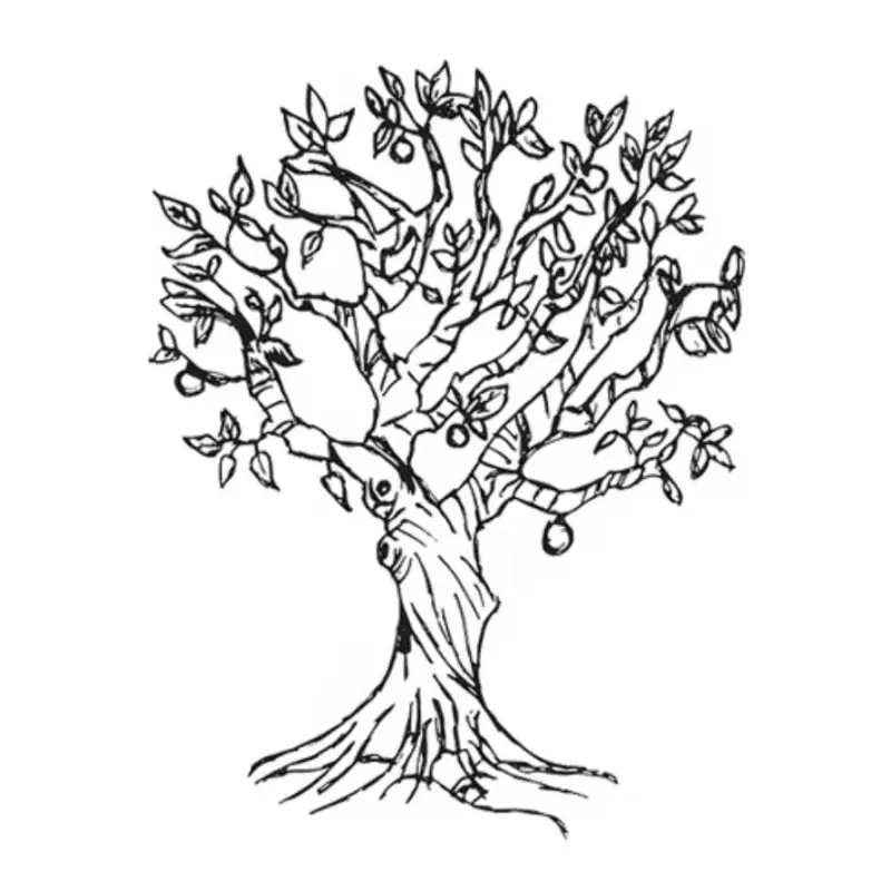 Lenches Cider Company logo