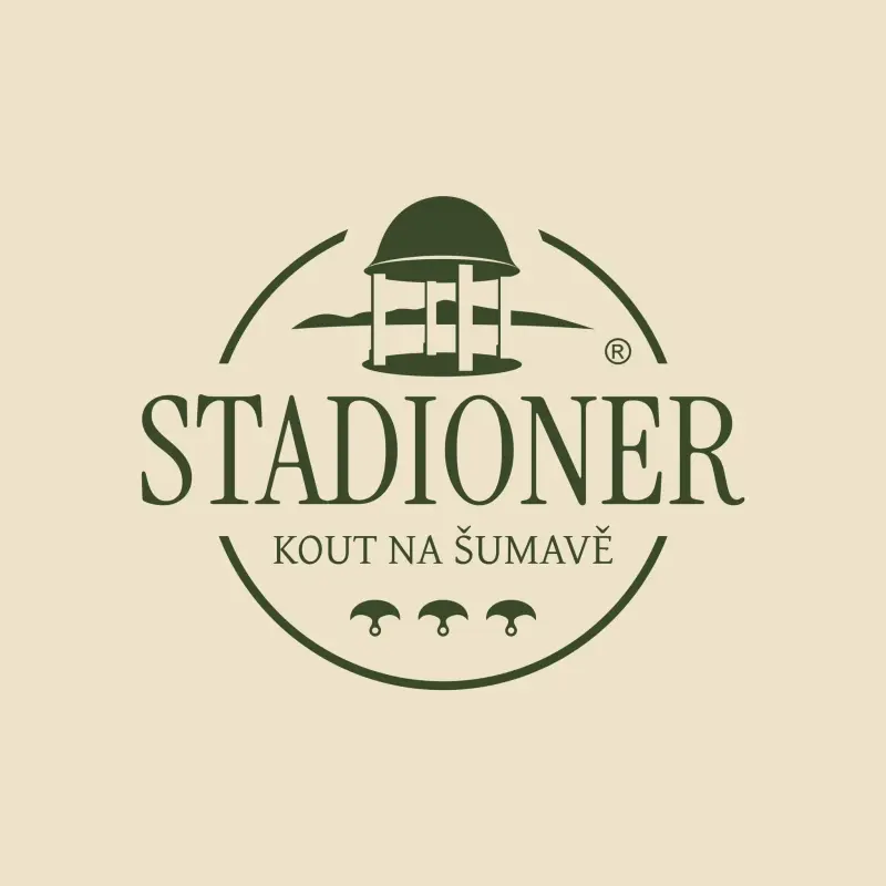 Stadioner logo
