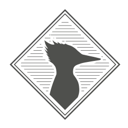 Genys Brewing Co. logo