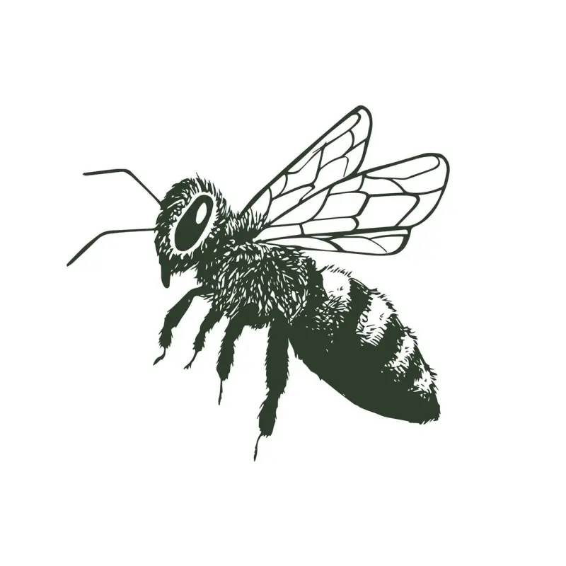 Hydromel Charlevoix logo