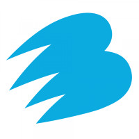 Electric Bear Brewing Co logo