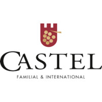 Castel Group logo