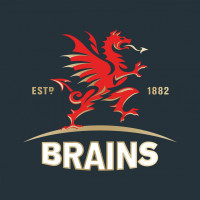 City Arms (Brains) logo