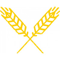 Brouwerij van Campenhout Witlov C