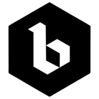 Bingo Beer Company Lager
