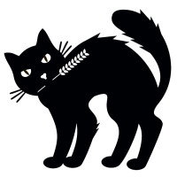 Black Cat Brewery logo